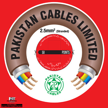 Pakistan Cable 2×2.5 MM² 450/750 V (Standard)
