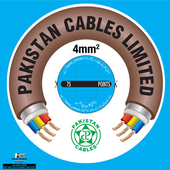 Pakistan Cable 1×4 MM² 450/750 V