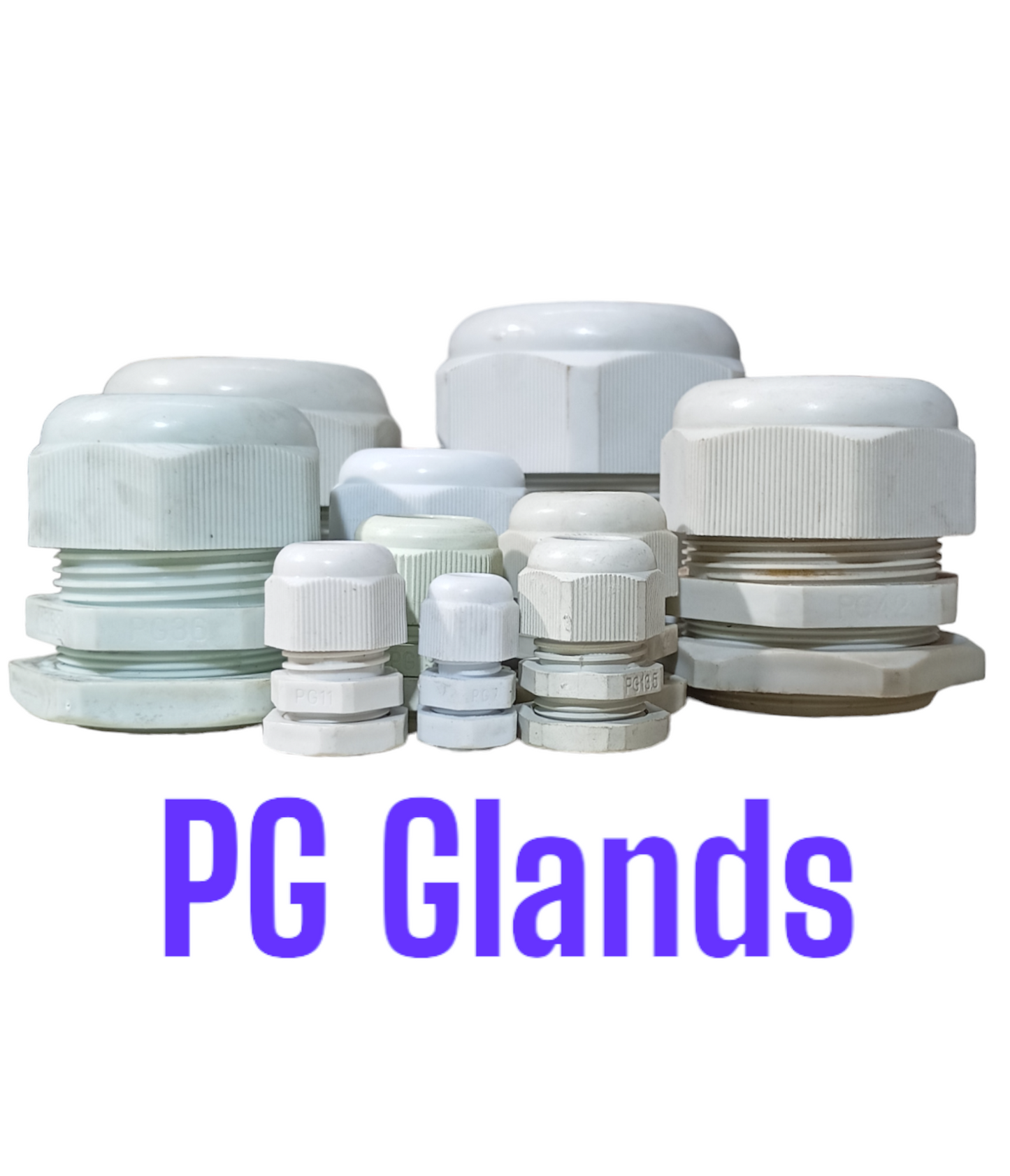 PG Glands